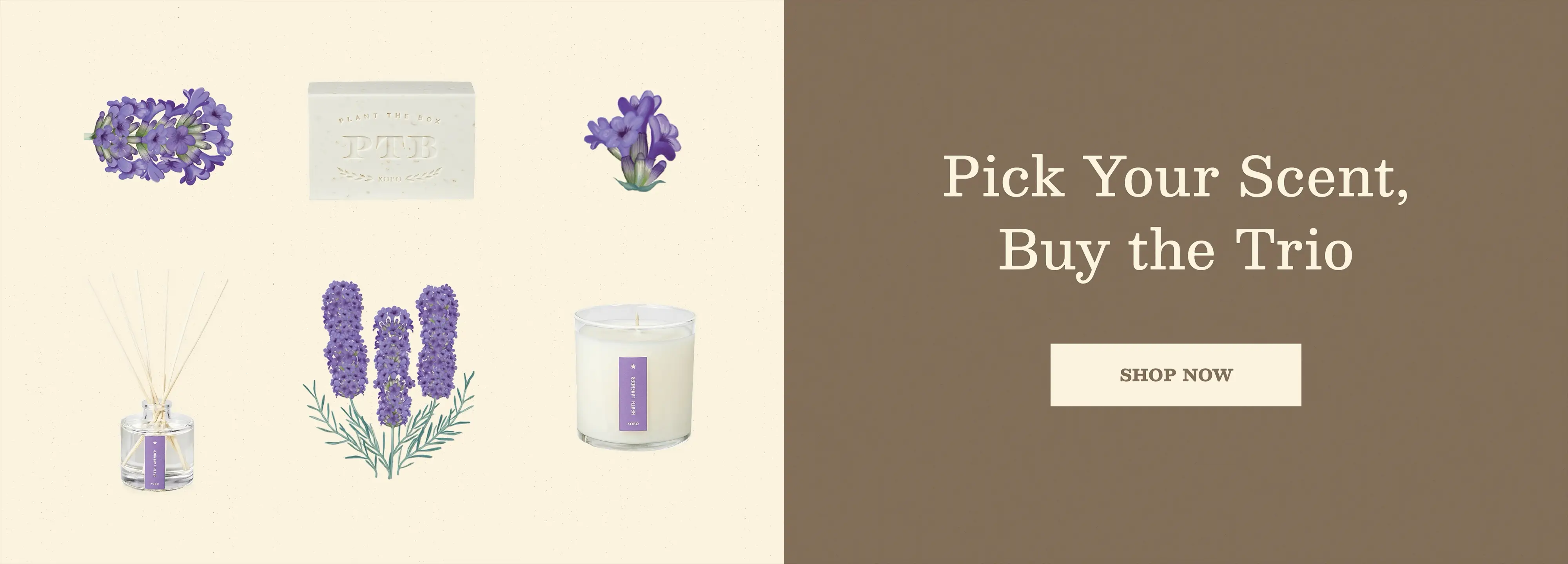 Elevate Your Space With Scents